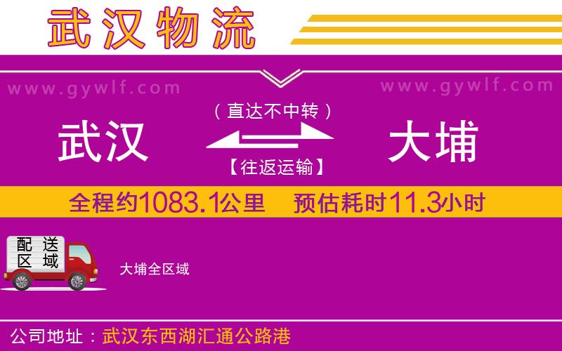 武漢到大埔貨運(yùn)公司