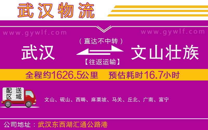 武漢到文山壯族苗族自治州貨運(yùn)公司