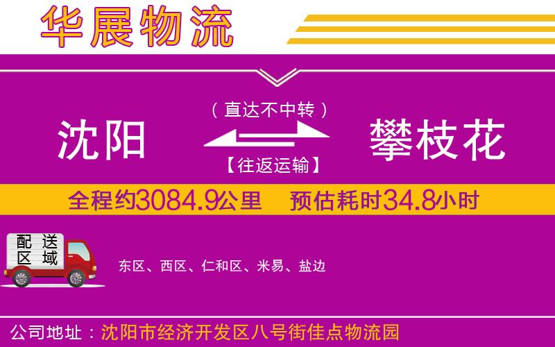 沈陽(yáng)到攀枝花物流公司