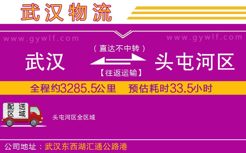 武漢到頭屯河區(qū)物流公司