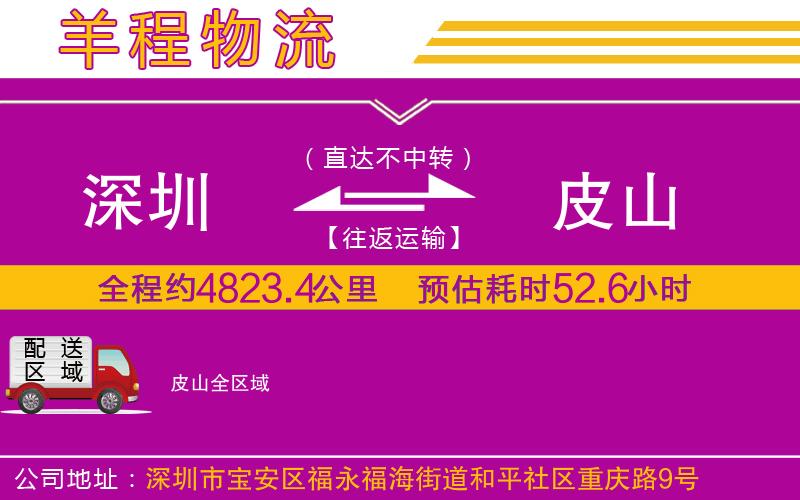 深圳到皮山貨運公司