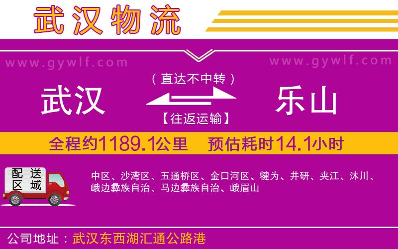 武漢到樂山物流公司