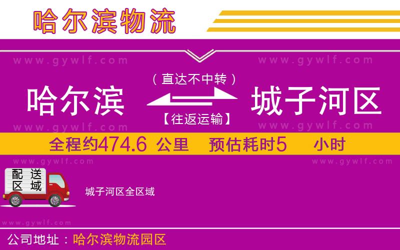 哈爾濱到城子河區(qū)物流公司