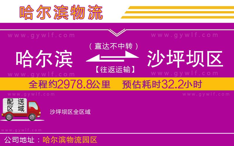 哈爾濱到沙坪壩區(qū)物流公司