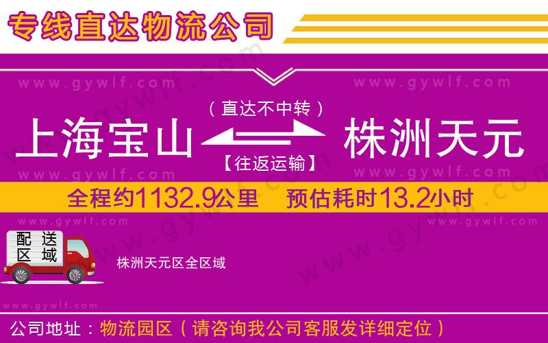 上海寶山區(qū)到株洲天元區(qū)物流公司