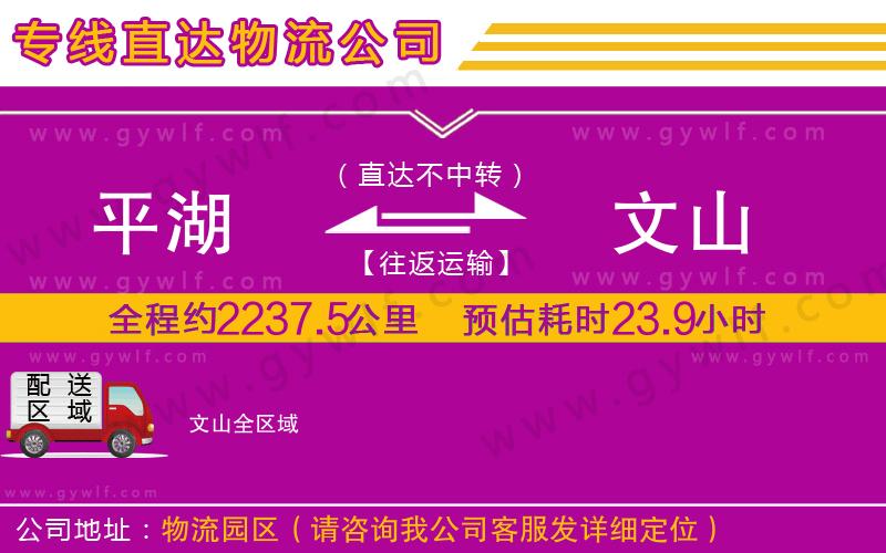 平湖到文山物流公司