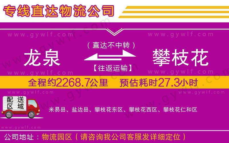 龍泉到攀枝花物流公司