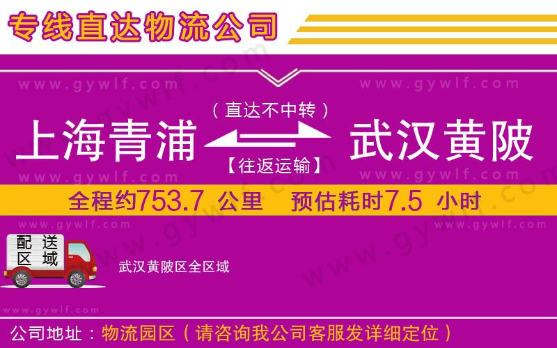 上海青浦區(qū)到武漢黃陂區(qū)物流公司