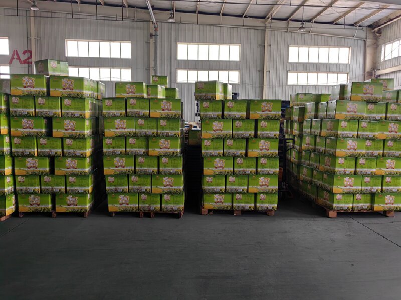 德陽到東海物流專線