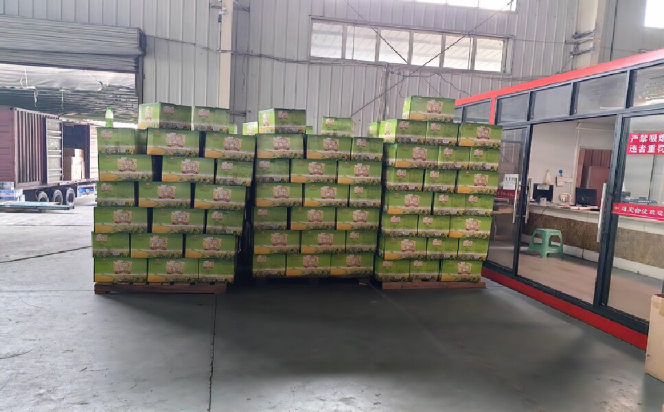 德陽到麥蓋提貨運公司